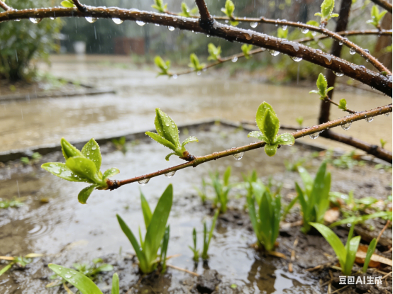 惊蛰万物苏,肿瘤患者科学调养迎暖春图片 惊蛰万物苏,肿瘤患者科学调养迎暖春图片